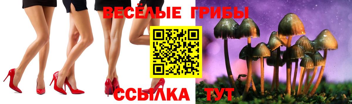 Галлюциногенные грибы мухоморы  Псилоцибиновые грибы Psilocybe  Вход с VPN  Лиски 